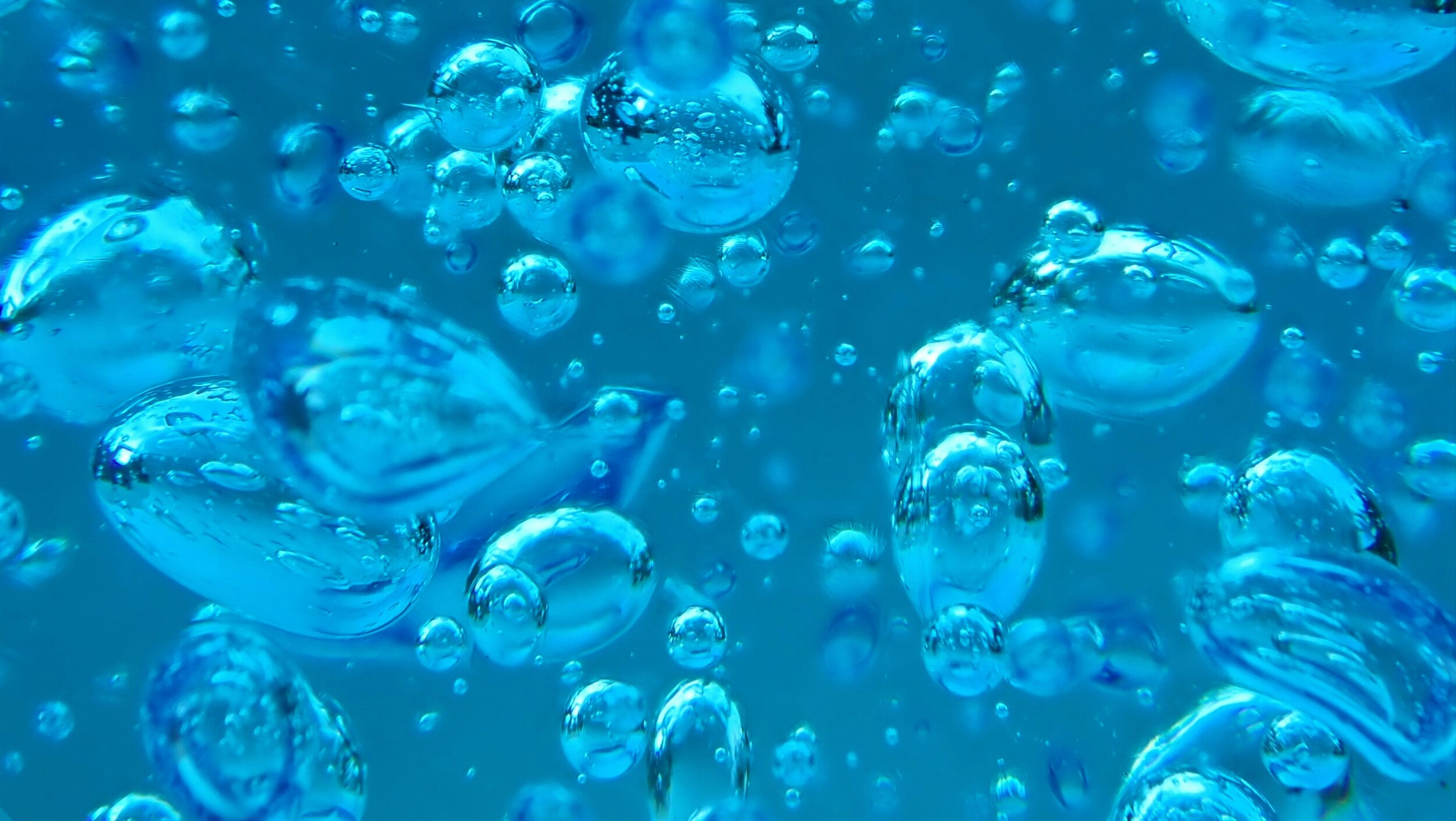 nancy-hughes-hZb9PMObuTg-unsplash