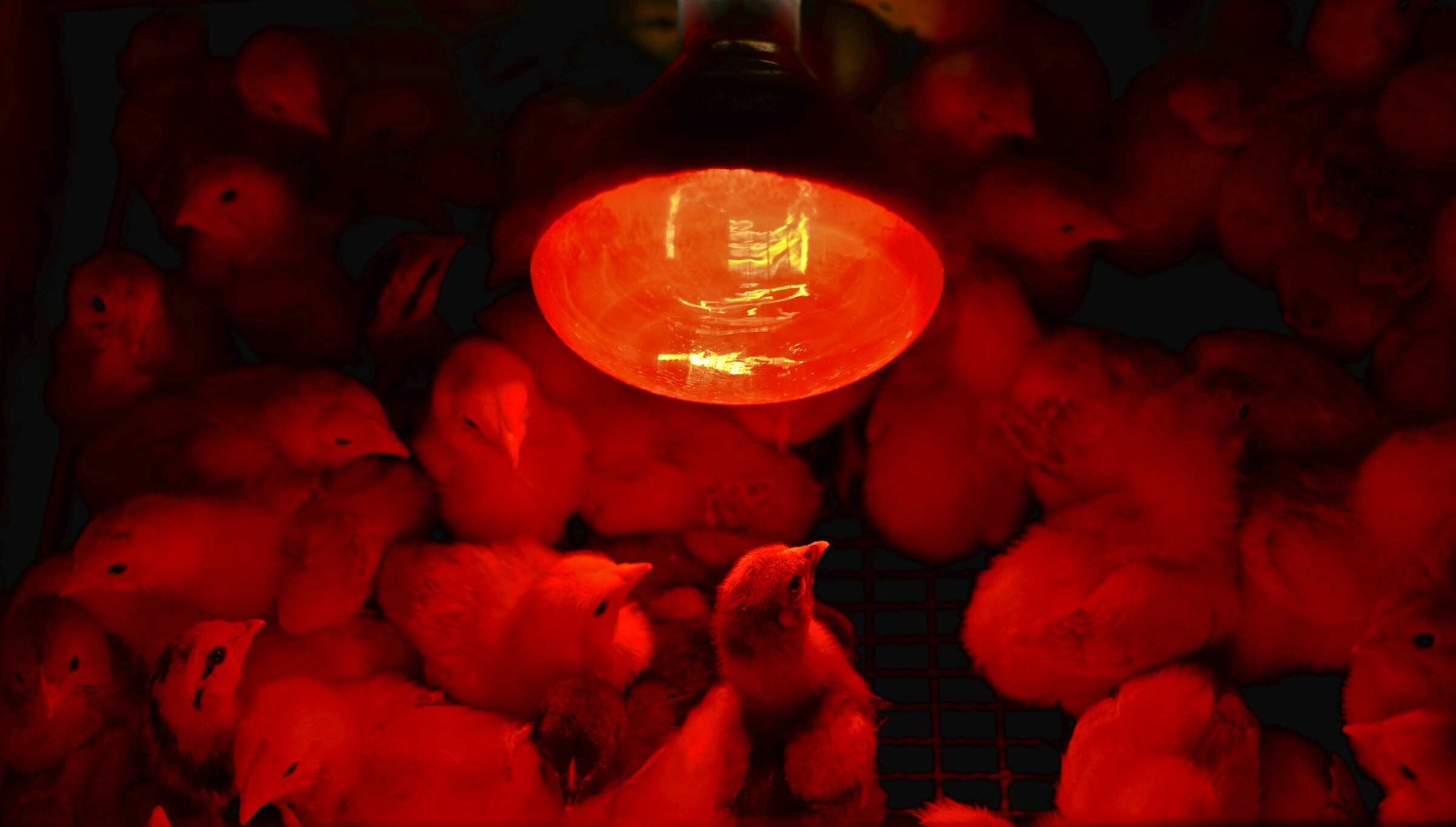 stefano-zocca-TCY-24aPvPE-unsplash