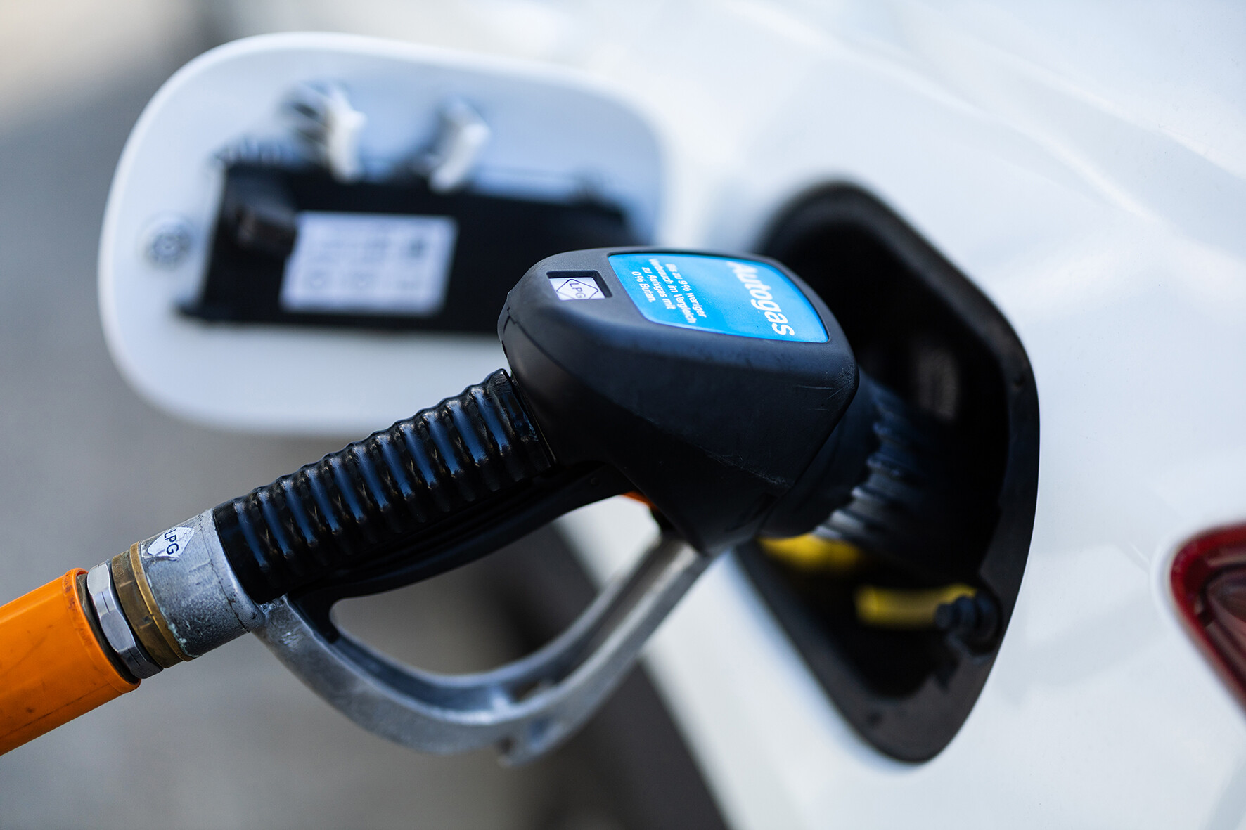 sabrinity_langegas172