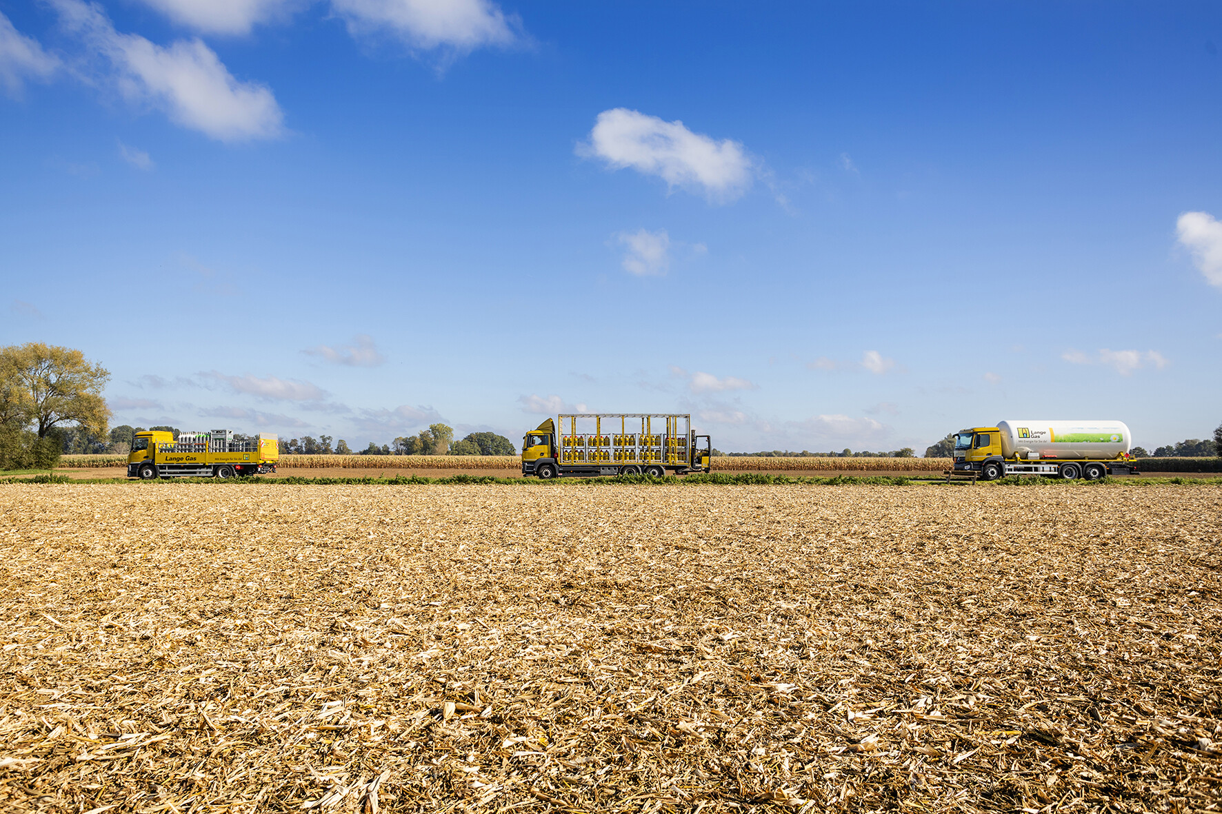 sabrinity_langegas137